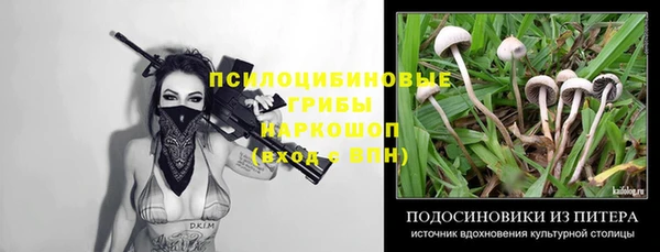 2c-b Дмитров