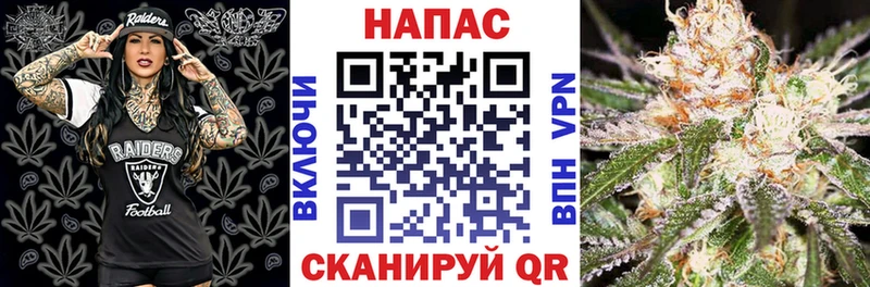 darknet официальный сайт  Ельня  Бошки Шишки Amnesia  где найти  